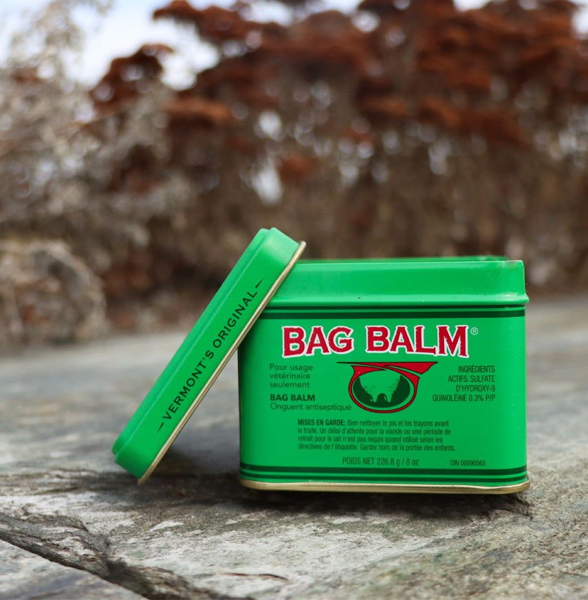 Bag Balm Antiseptic Ointment 8 oz tin. The tin features the classic green design with the Bag Balm logo on the front. The ointment is known for its moisturizing and healing properties. The tin is set against an outdoor background of brown and orange blurred trees.