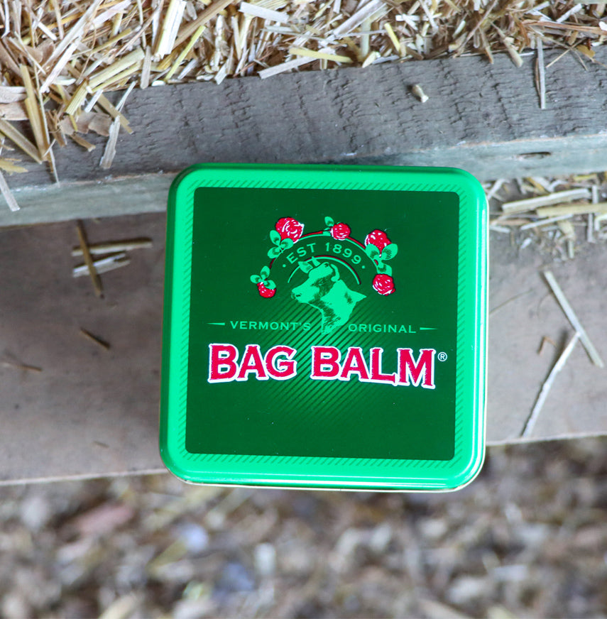 Bag Balm Antiseptic Ointment 8 oz tin. The tin features the classic green design with the Bag Balm logo on the front. The ointment is known for its moisturizing and healing properties. It is a top-down view of the product, with a background of hay and wood, indicating the shot may have been taken in a barn.