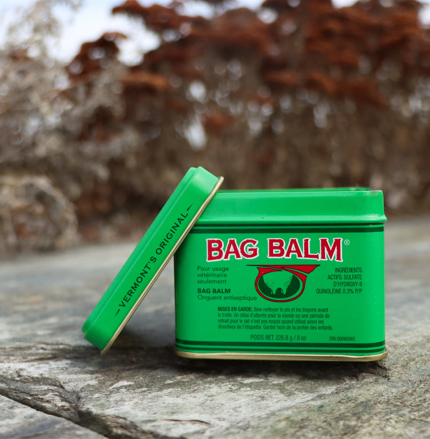 3 Vermont Original Bag Balm Skin Ointment Animal Hot Spot Veterinary  Antiseptic